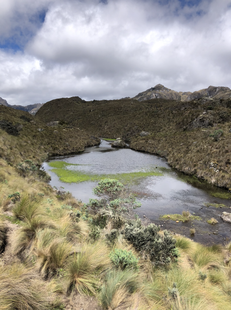 parc national cajas